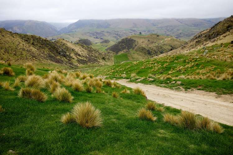 3717and3429 Inland Kaikoura Road Mt Lyford_17