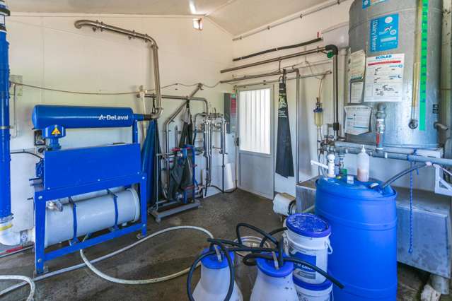 226a Buckland Road Matamata_4