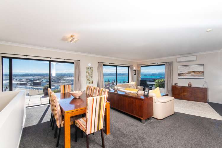 36 Roslyn Road Bluff Hill_5