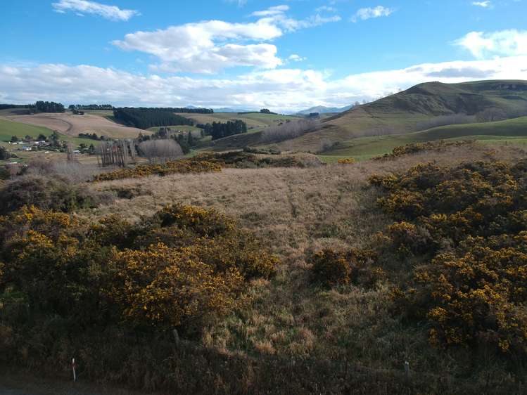 Ngapara-Georgetown Road_2