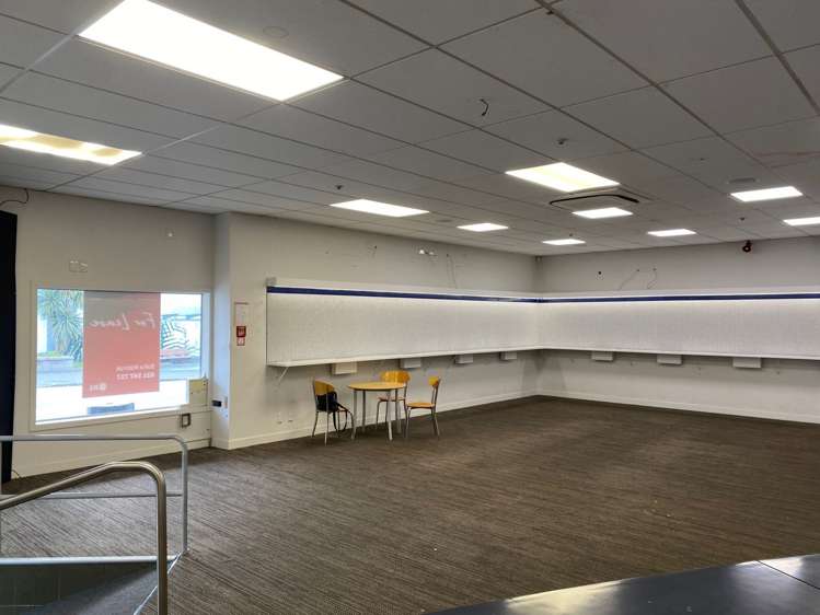 227 Riddiford Street Newtown_5