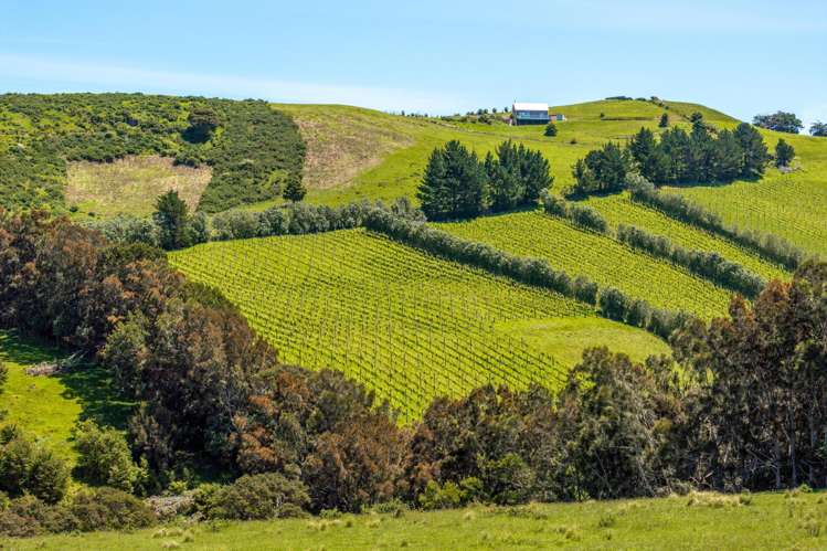 88A Onetangi Road Onetangi_24