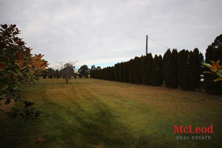 123 Albert Street Elgin_5