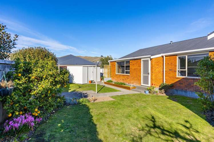 253A Scott Street Redwoodtown_19