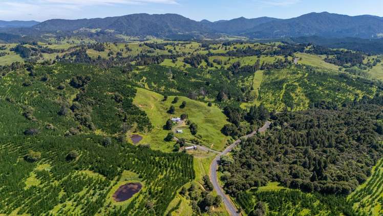 386 Pawarenga Road Broadwood_27