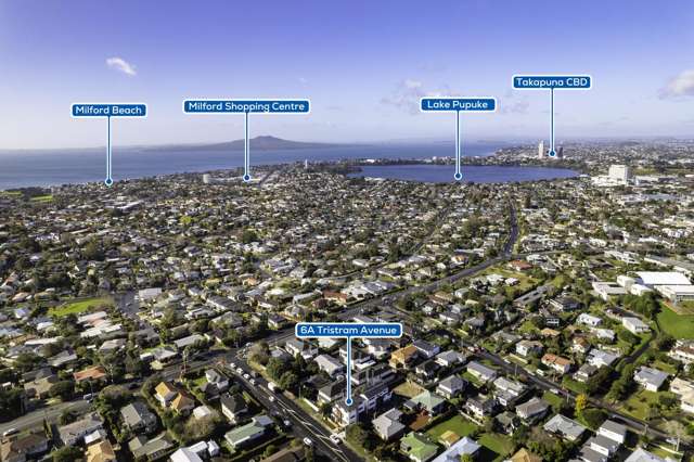 6A Tristram Avenue Forrest Hill_4