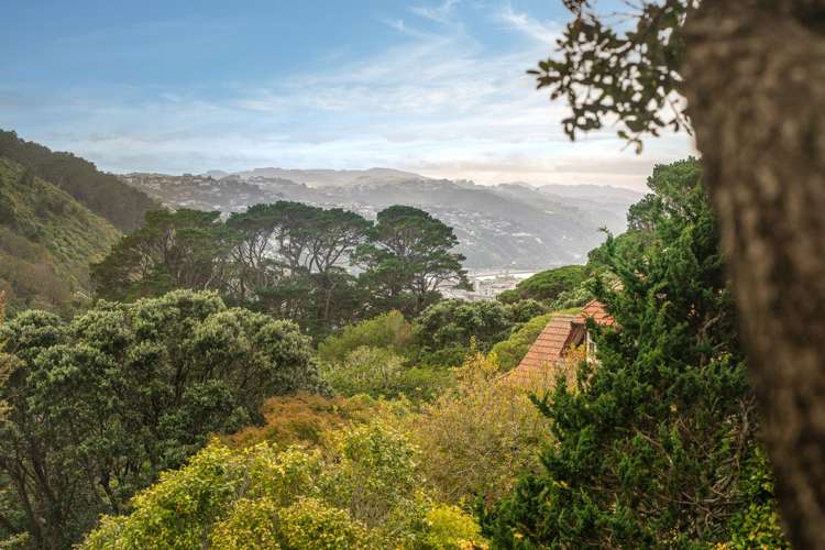 16 Mariri Road Kelburn_24