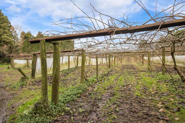 112 Waihi Beach Road Waihi_2