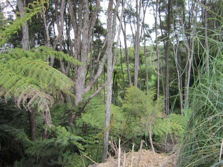 321a Quine Road Tahuna_6