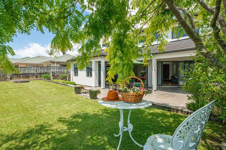 19 Highfields Terrace Henderson_33