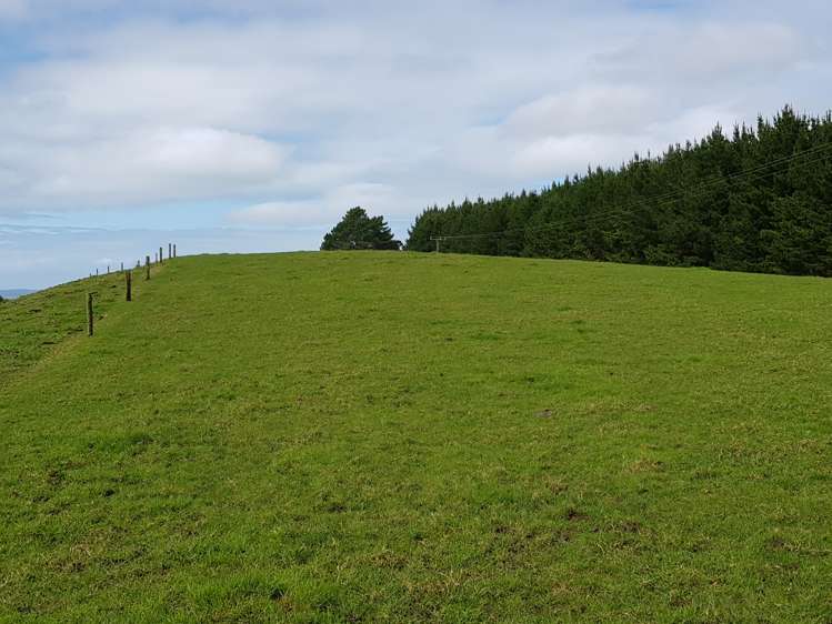 4969 Pouto Road Pouto_12