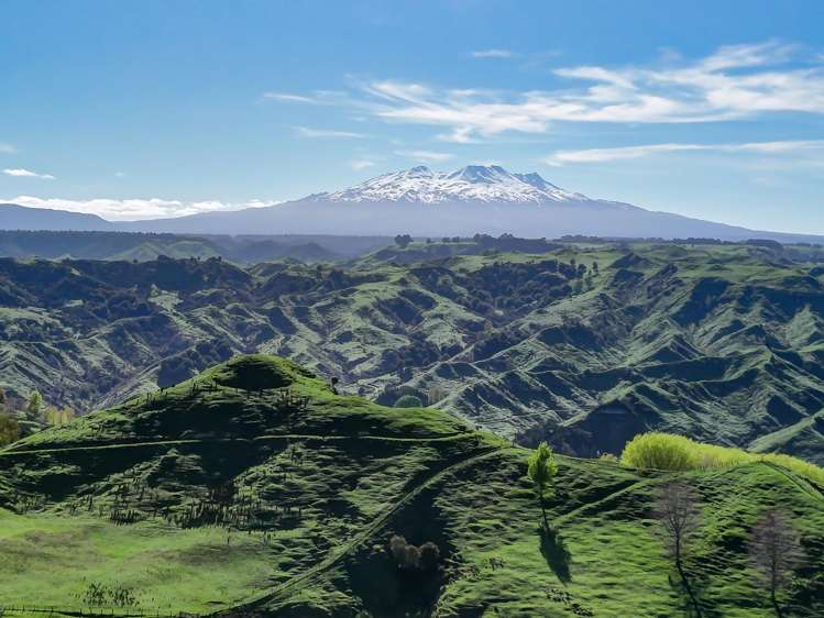 56 Makakahi Road Ruapehu-King Country Surrounds_1