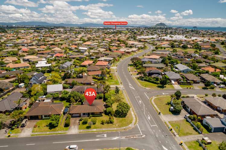43a Hibiscus Avenue Mount Maunganui_18