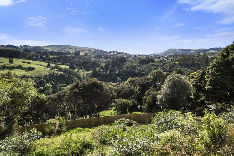 10a Hadley Close Glenleith_6