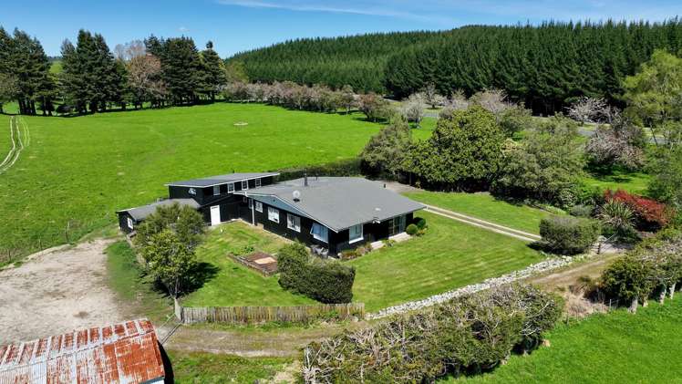 441 State Highway 38 Rerewhakaaitu_9