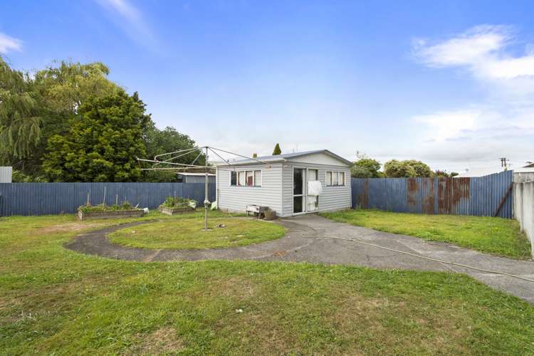 13 Flower Street Bulls_12