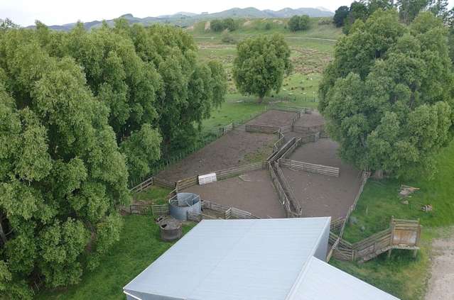 37 Waikakahi Road Pongaroa Pongaroa_3