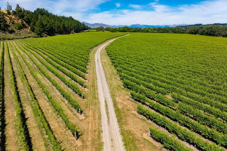 304 Dog Point Road Hawkesbury_29