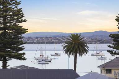 3A/21 Maunganui Road_2