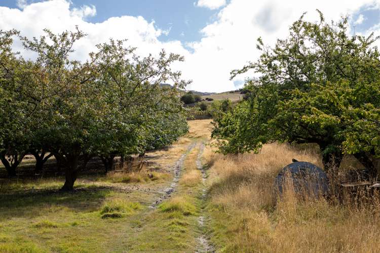 25 Campbells Track Roxburgh_18