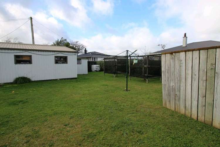 20 Ward Street Bulls_45