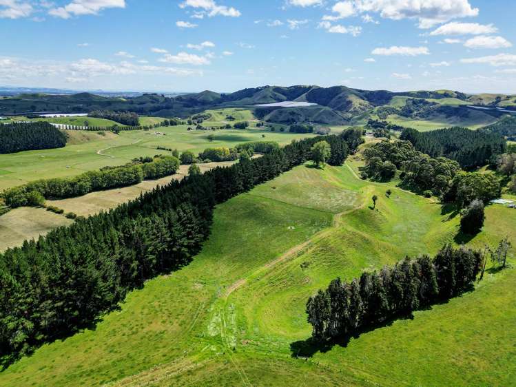 1-6/461 Otamarakau Valley Road Pukehina_20