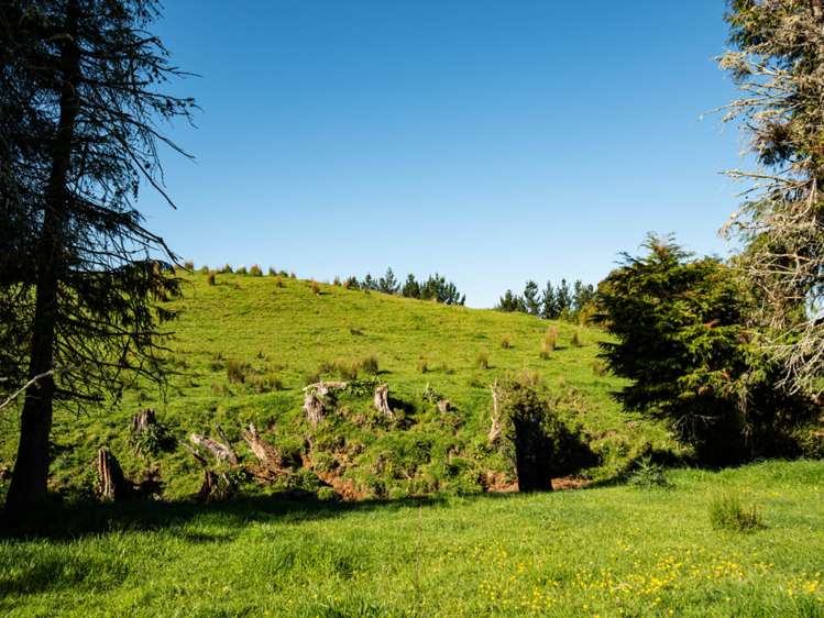 Ruatiti Road Raetihi_5