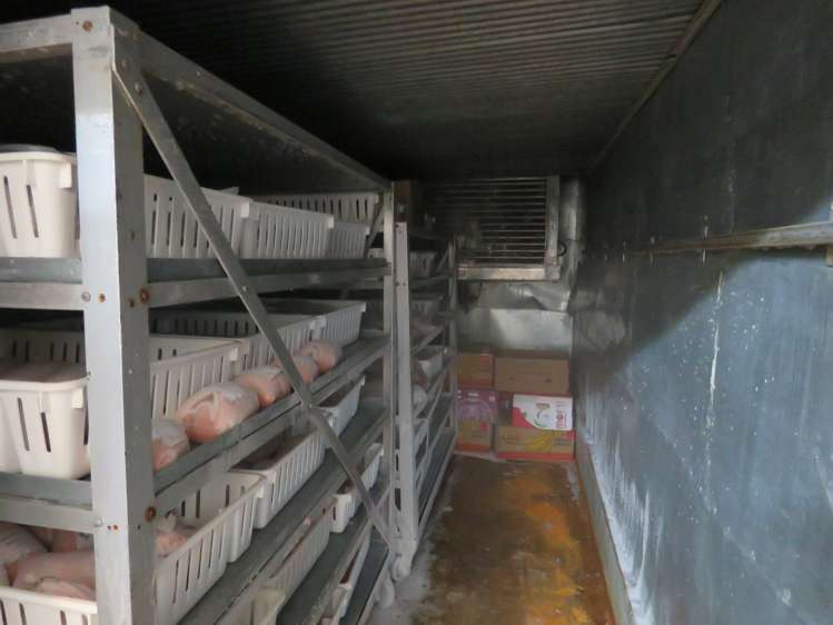 24 Keenans Road Newland_7