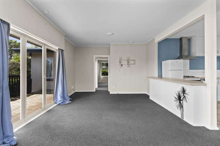 8 Alison Street Hamilton Lake_5