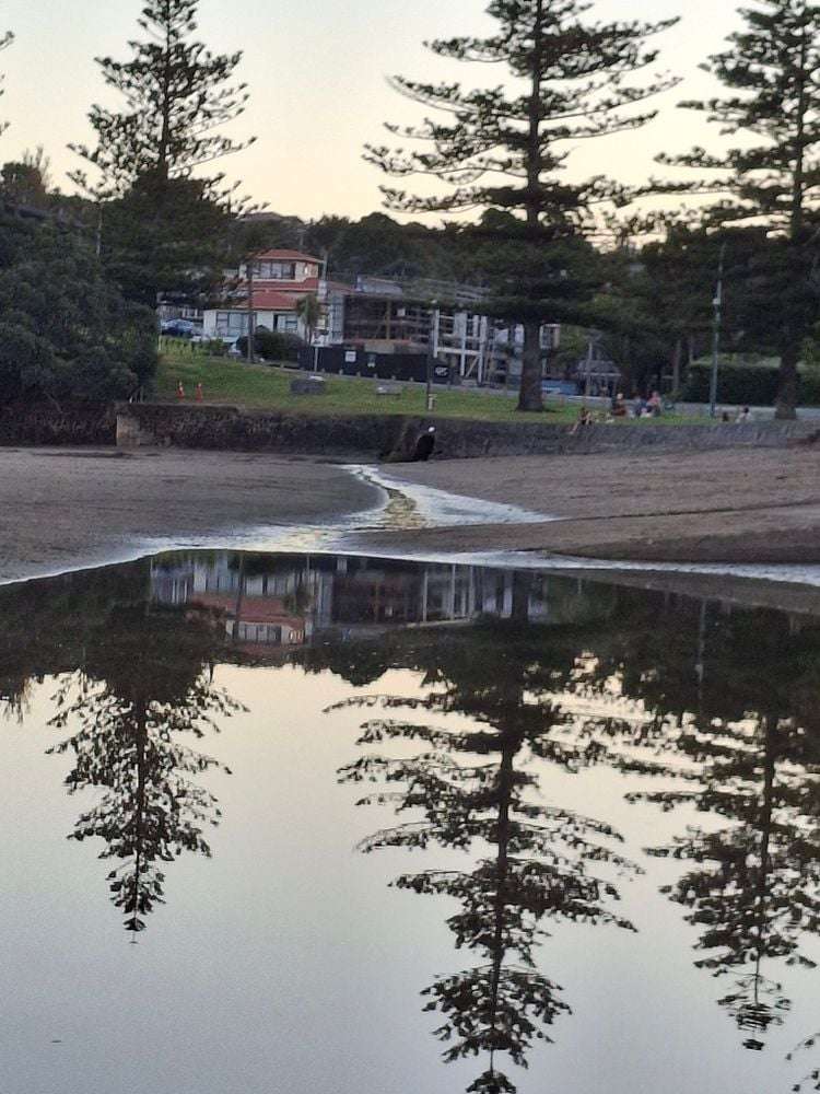 918 Beach Road Waiake_18