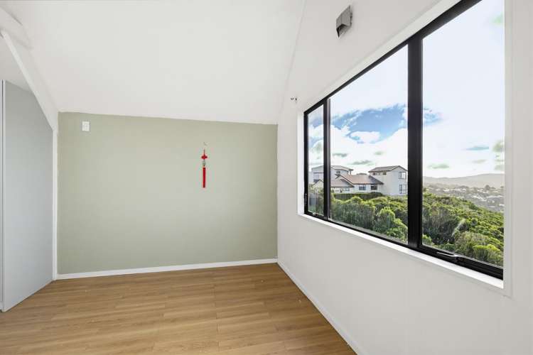12 Ashton Fitchett Drive Brooklyn_7