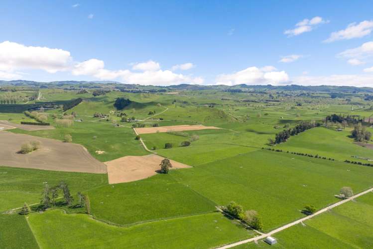 58 Nicholson Road Piarere_14