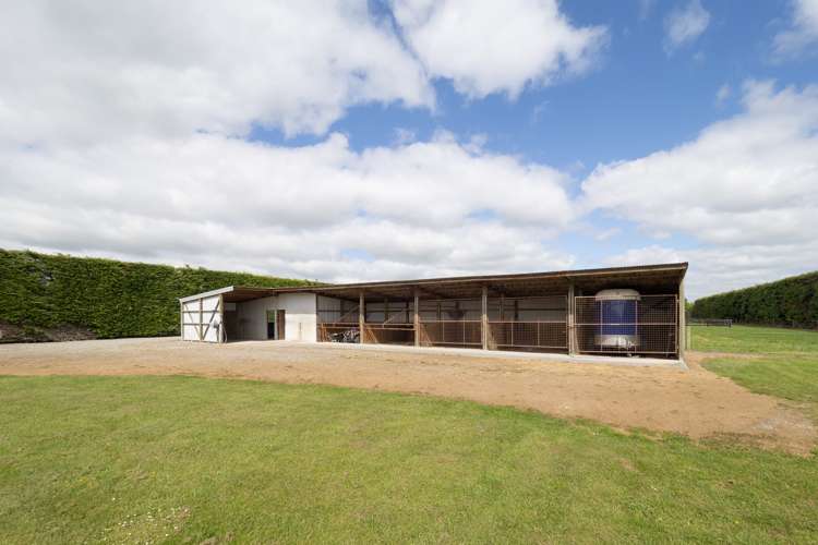 569 Wakanui Road Ashburton_25