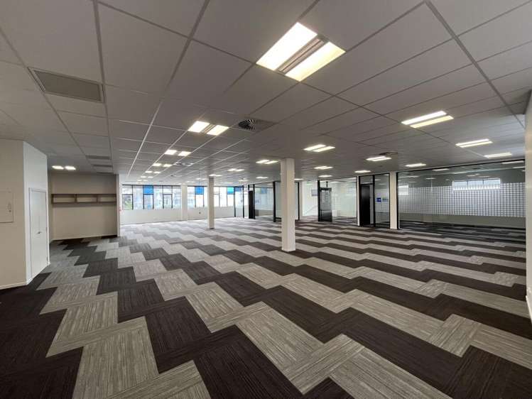 4 Murdoch Road Grey Lynn_4