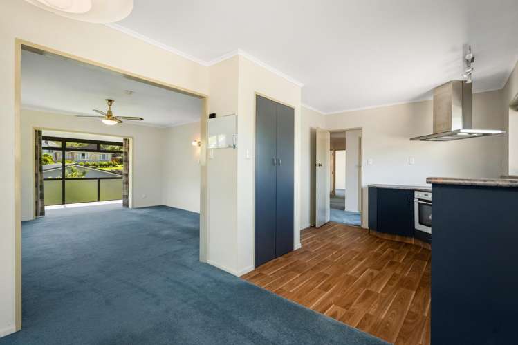 46 Willoughby Street Paeroa_3