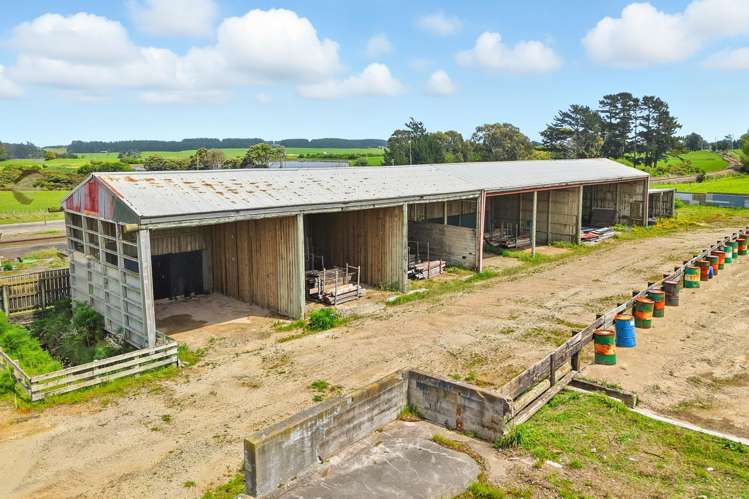 34 Oturi Road Waverley_27