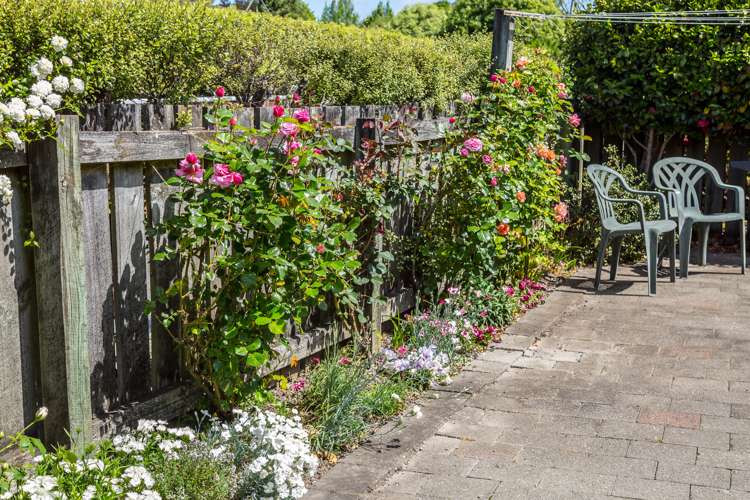 66a Herbert Street Masterton_11