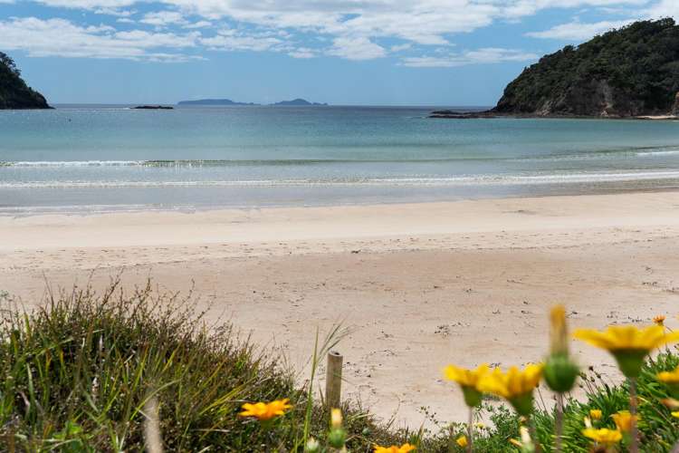 29 Waetford Road Matapouri_7