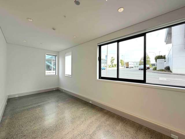6 Nixon Street Grey Lynn_3