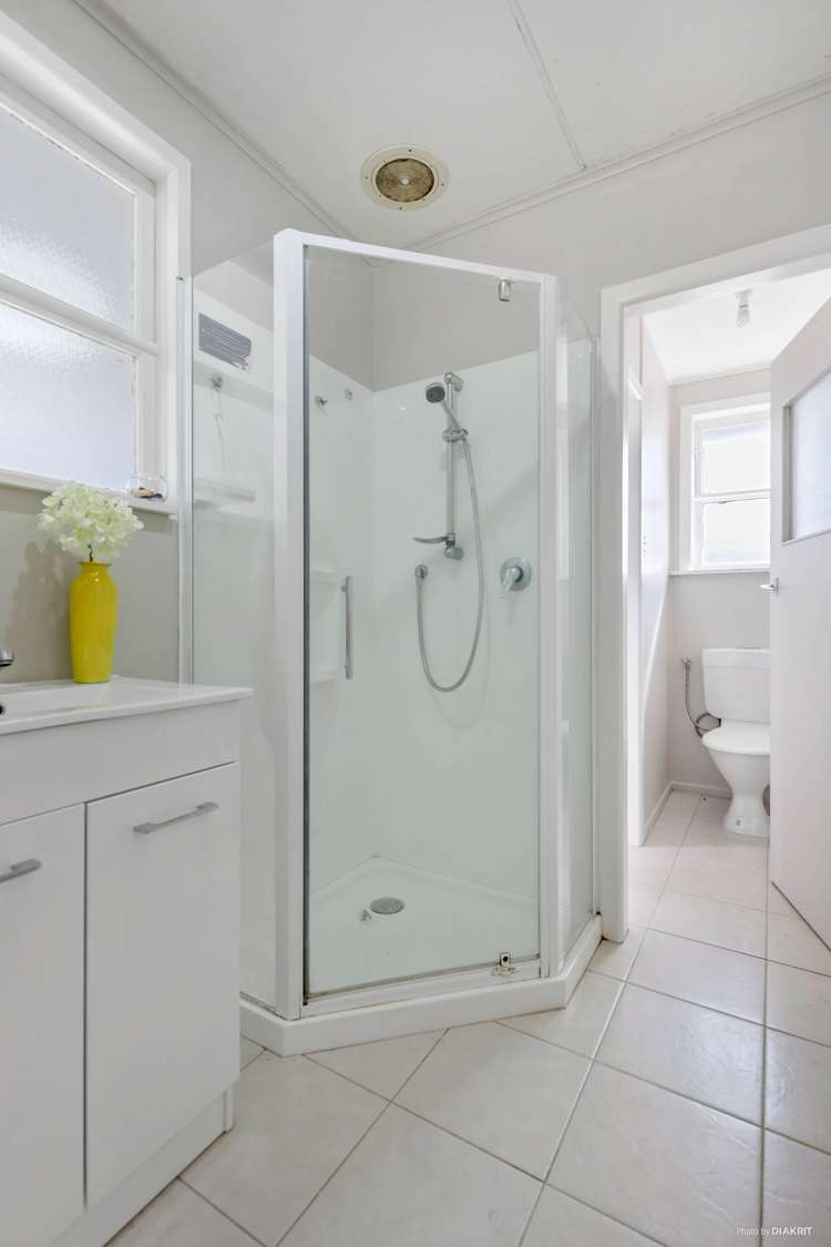 10 Linden Street Mount Roskill_7