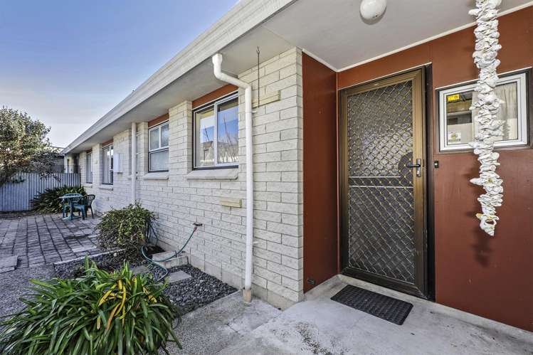 2/500 Avenue Road West Hastings_17