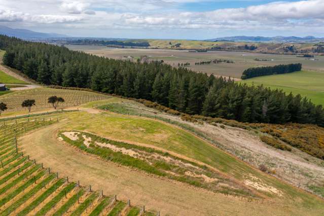 Delta Lake Heights Renwick_4