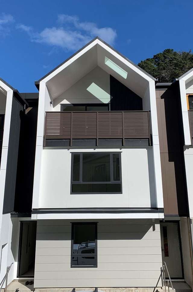 New Townhouse in Aro Valley