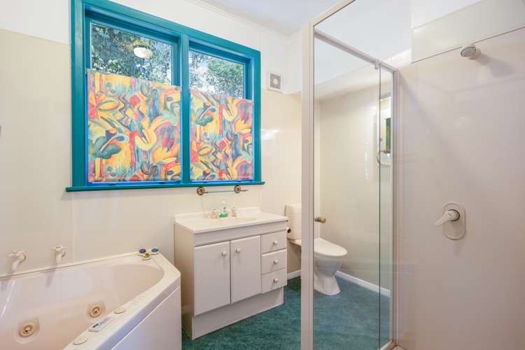 6 Raupo Street Hataitai_6