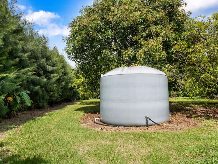 261 Wainui South Road Whakamarama_33