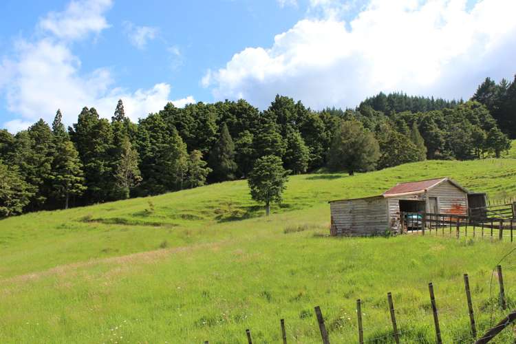 1529 Duncan Road Kaitaia_13