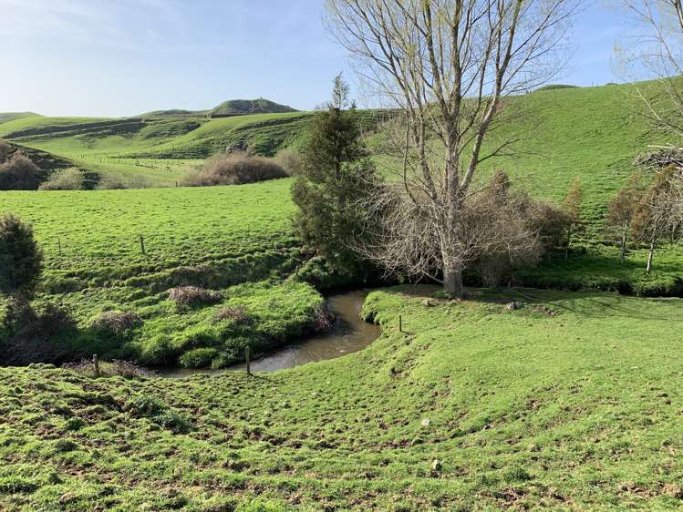 895 Bird Road Stratford_21