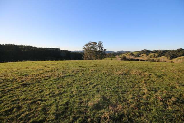 Quality Rural Lifestyle Blocks