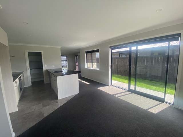 12 Harp Street Morrinsville_2