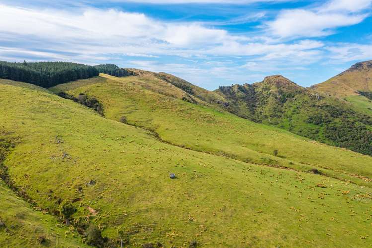 44 Parkinsons Road Ataahua_8